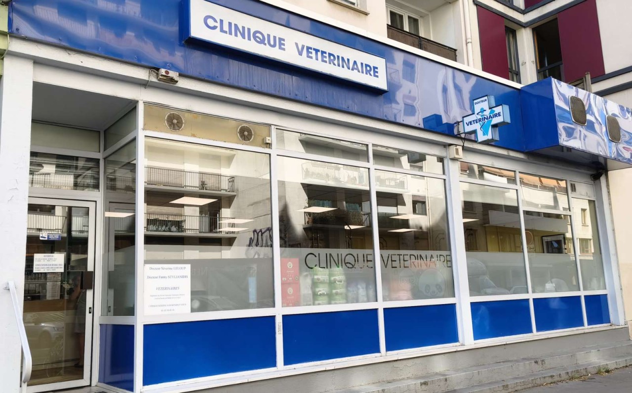 Scp Leloup- Stylianidis