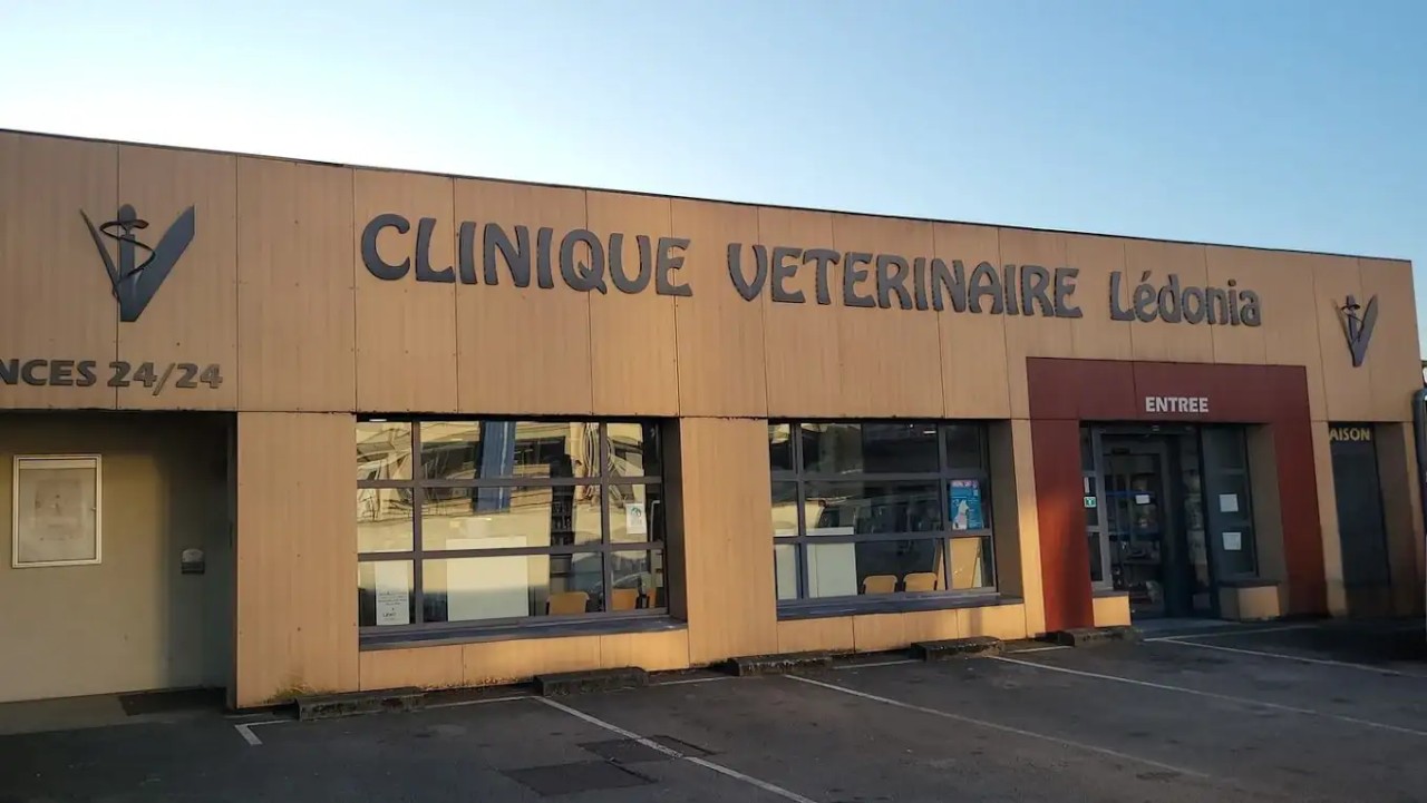 IVC EVIDENSIA France