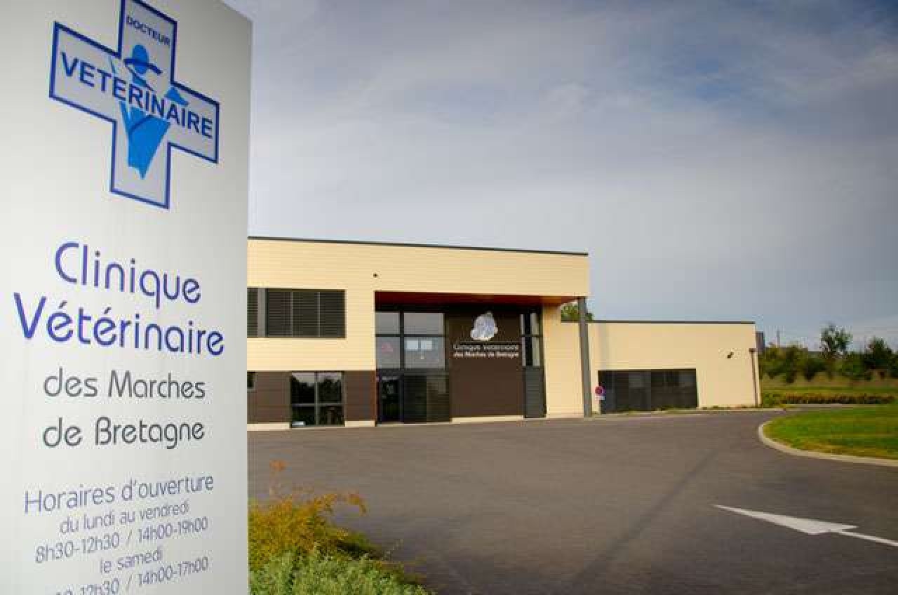 Clinique Vétérinaire Des Marches De Bretagne
