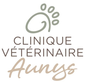 Aunys