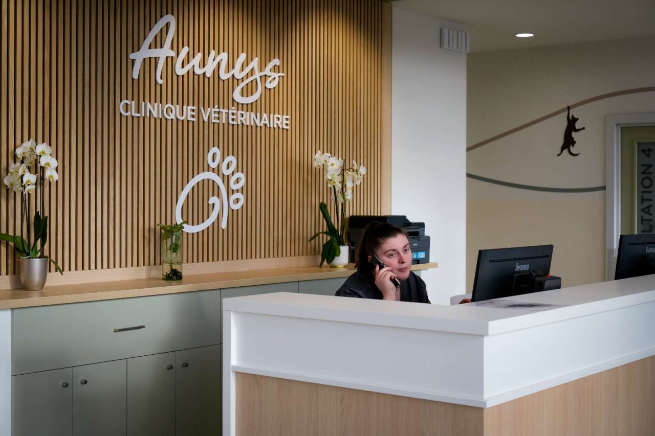 Aunys