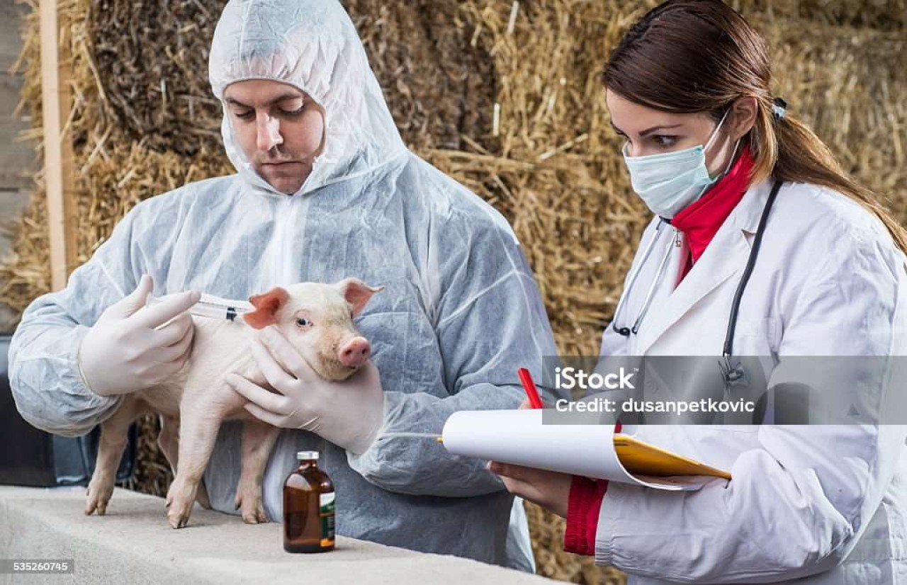 Jd Consultants