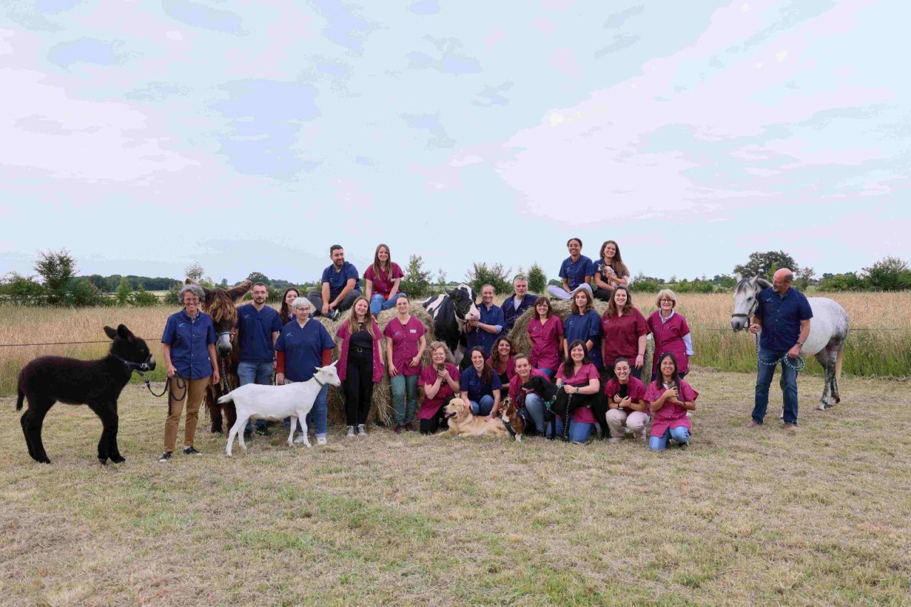 Scp Veterinaire Vet'santé