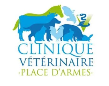 Clinique Place d'Armes