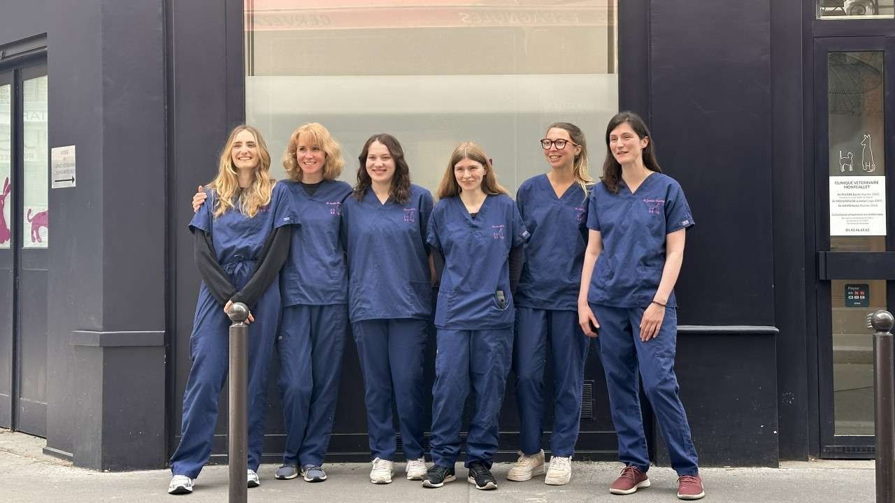 CLINIQUE VETERINAIRE MONTGALLET