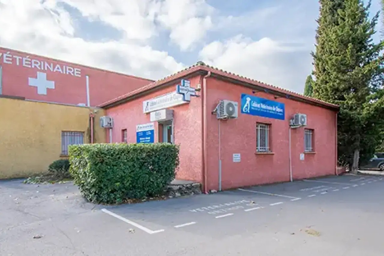 IVC EVIDENSIA France