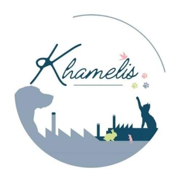 Clinique Vétérinaire Khamelis