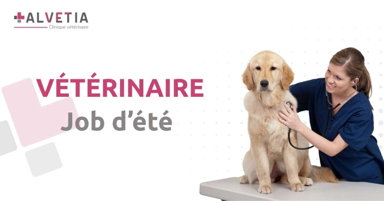 Clinique Vétérinaire Alvetia