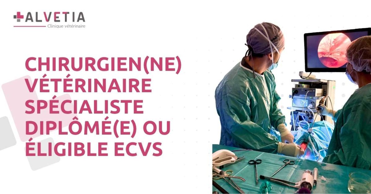 Clinique Vétérinaire Alvetia
