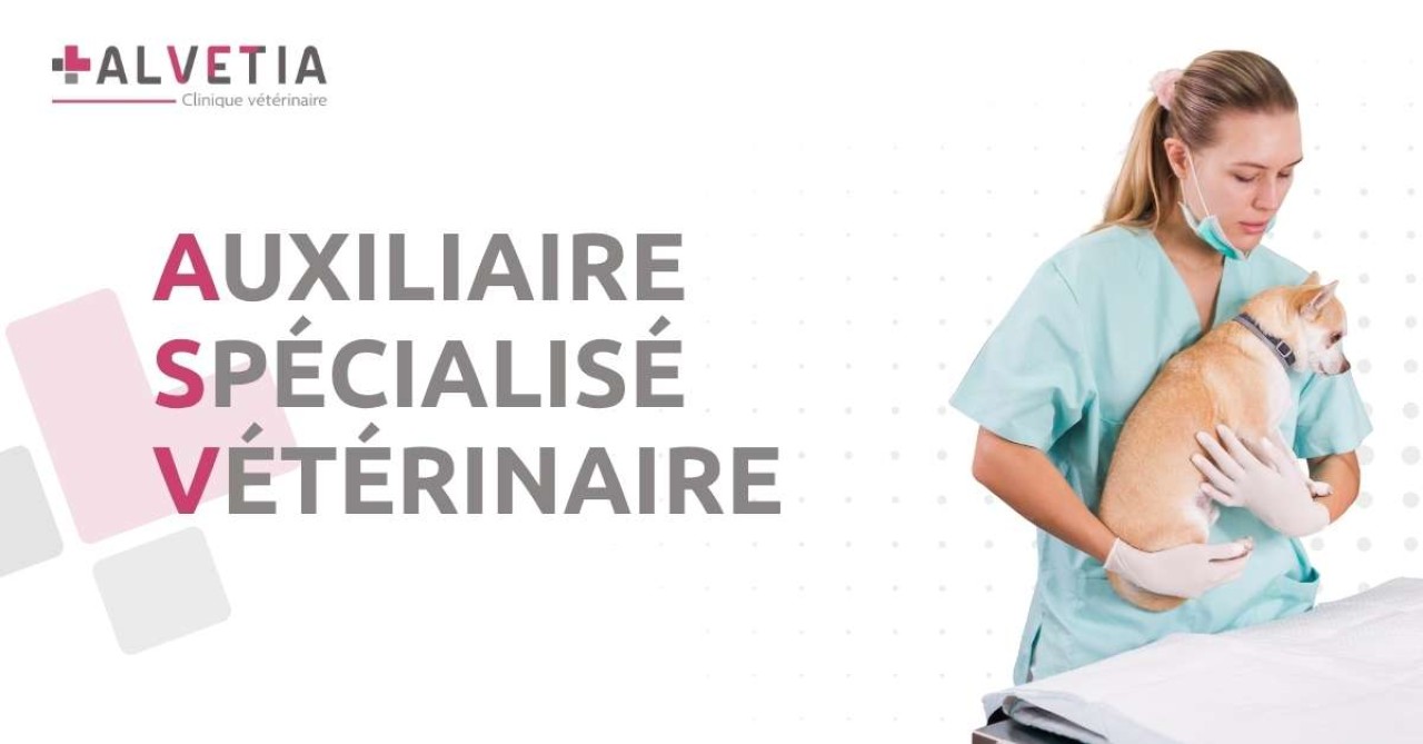 Clinique Vétérinaire Alvetia