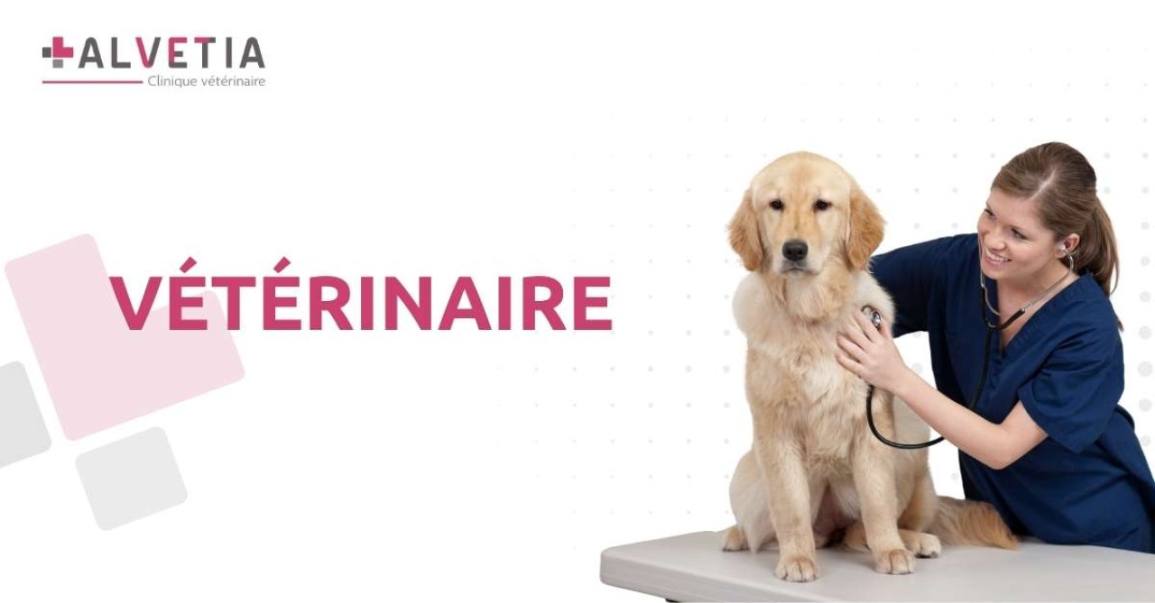 Clinique Vétérinaire Alvetia