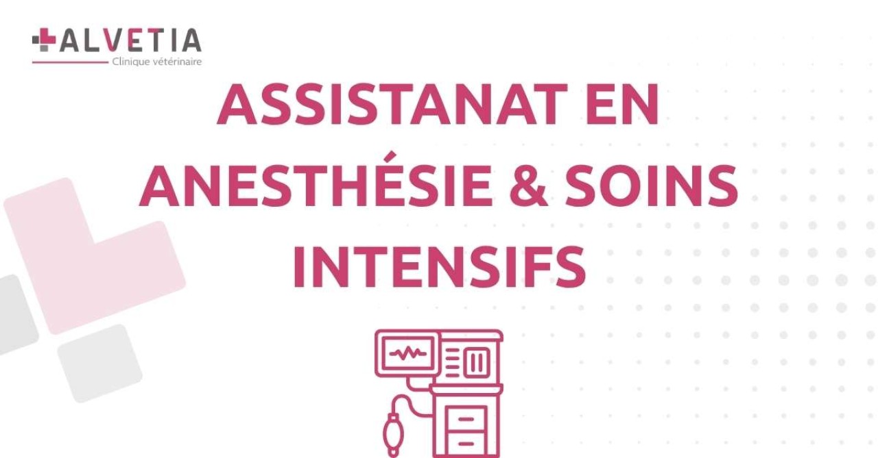 Clinique Vétérinaire Alvetia