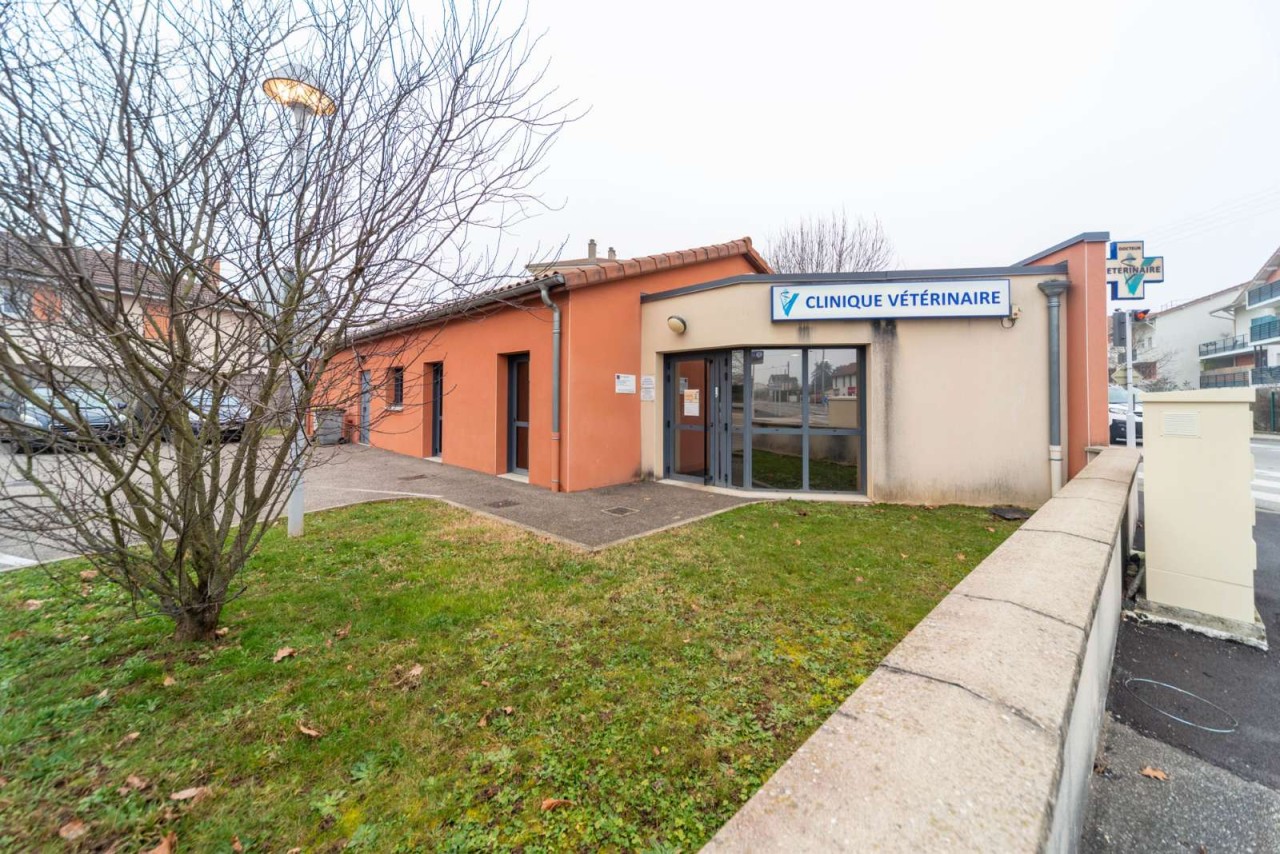 Argos Vétérinaire