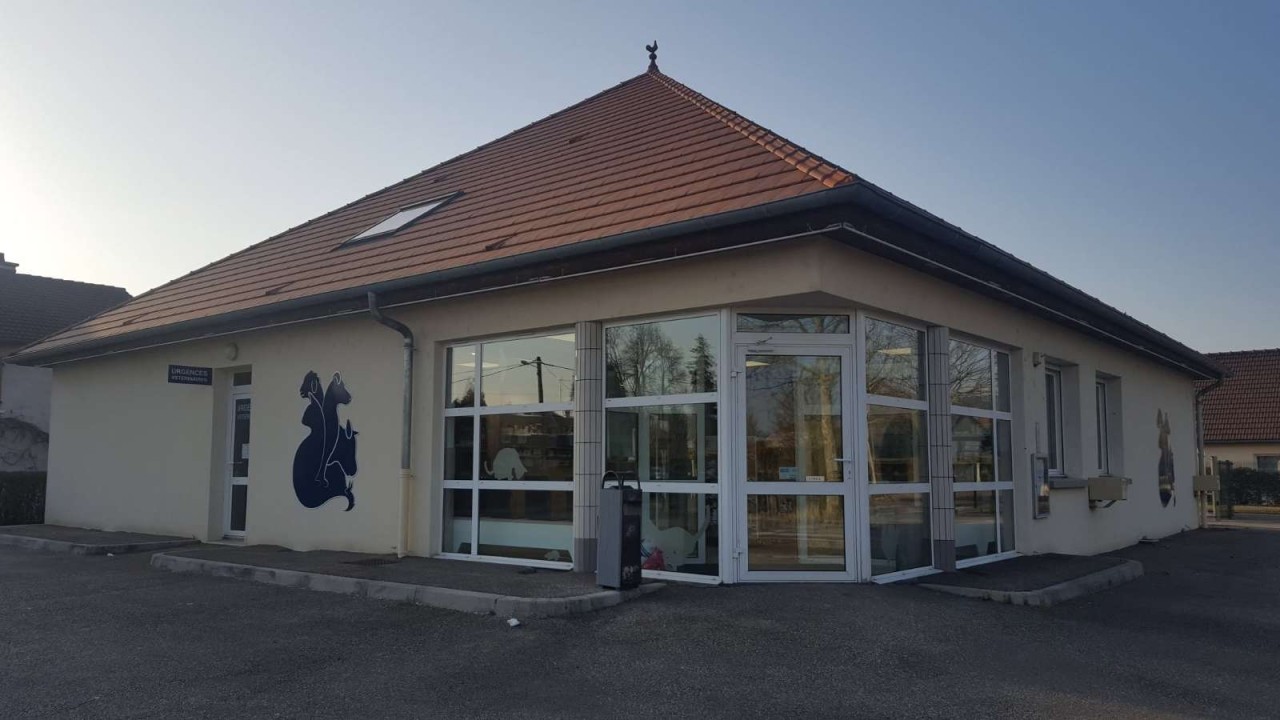 Réseau Univet