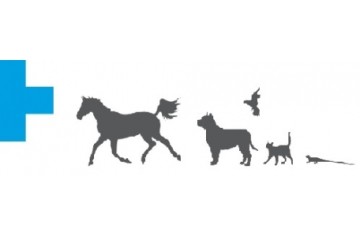 Clinique Veterinaire Rance Fremur