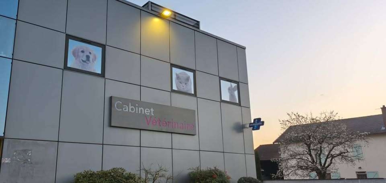 Selarl Vétérinaire Du Dr Charlet