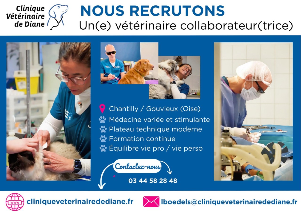 Clinique Vétérinaire De Diane