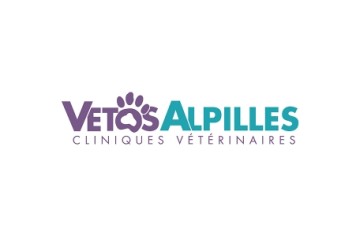 Vetosalpilles