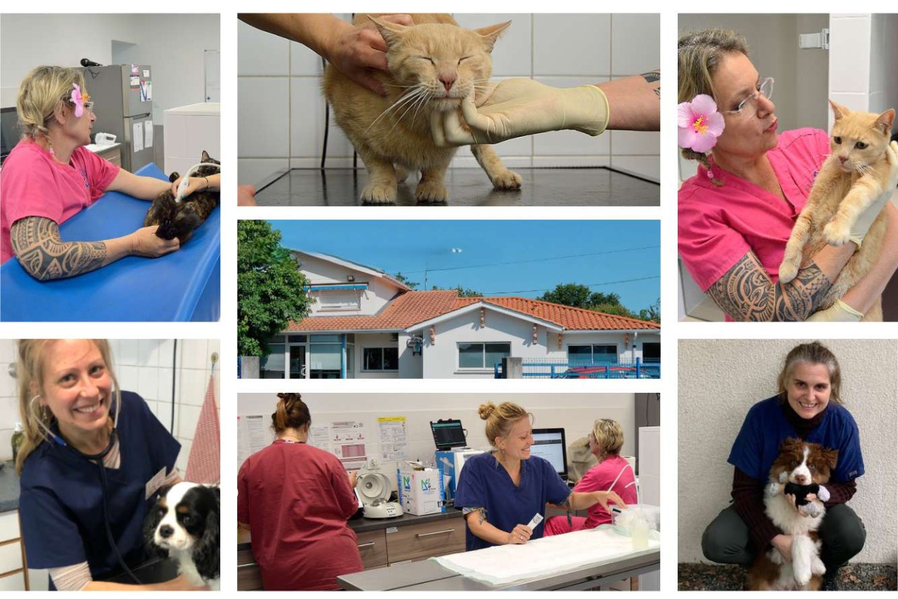 Clinique Vétérinaire du Gazinet