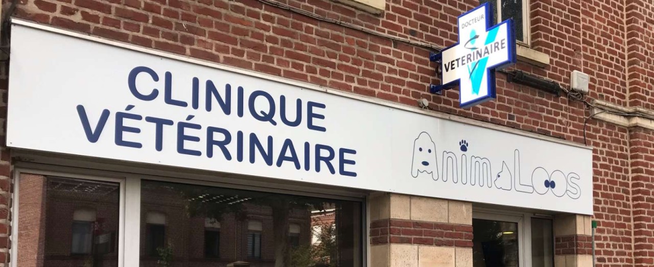 Clinique Vétérinaire Animaloos