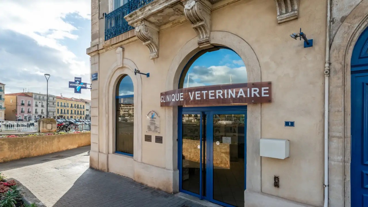 IVC EVIDENSIA France