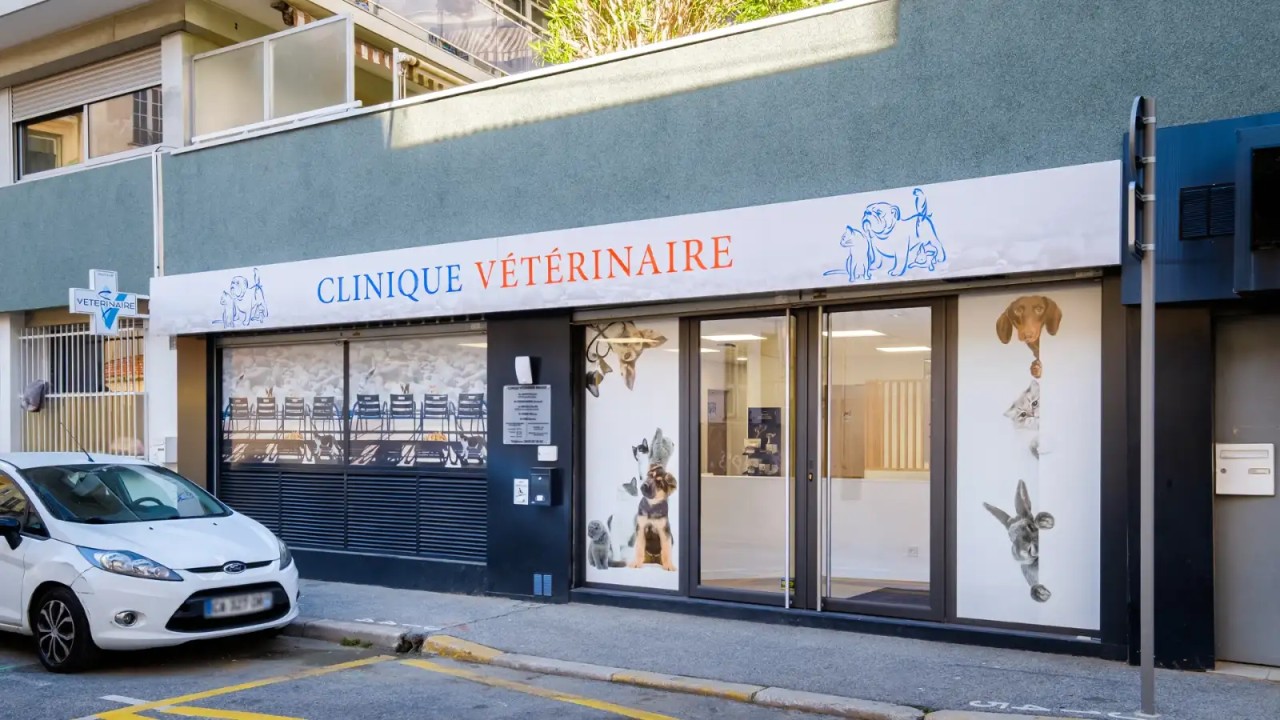 IVC EVIDENSIA France