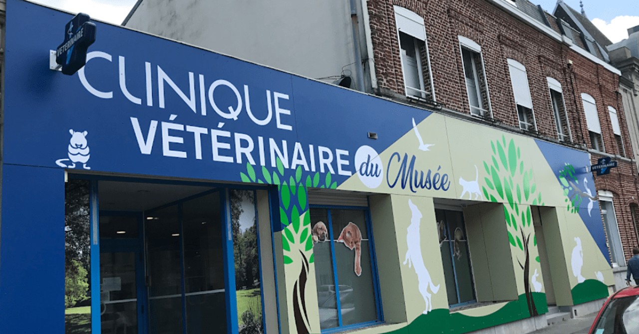 IVC EVIDENSIA France