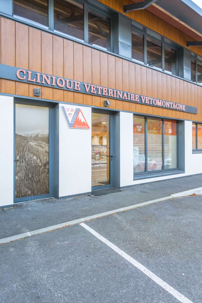 Selarl Vetomontagne