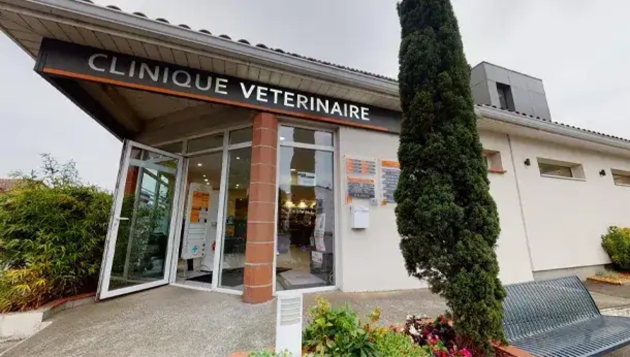 IVC EVIDENSIA France