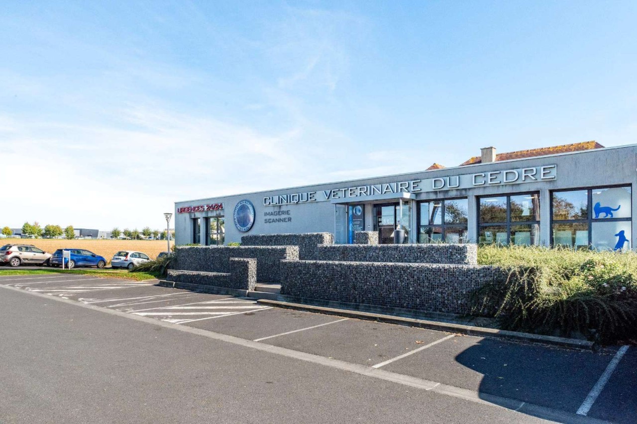 IVC EVIDENSIA France