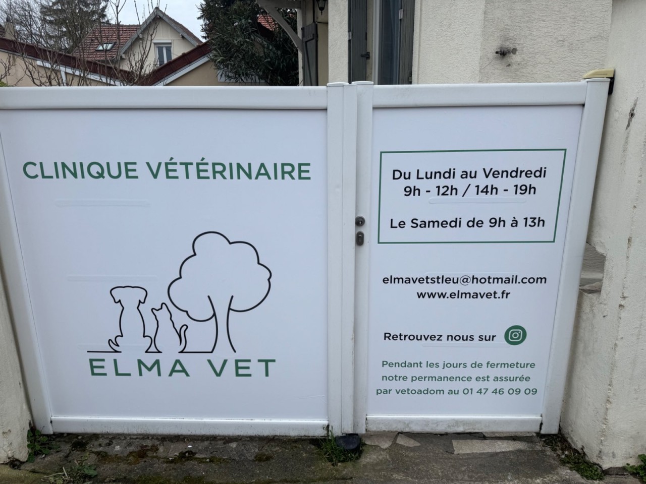 Elmavet