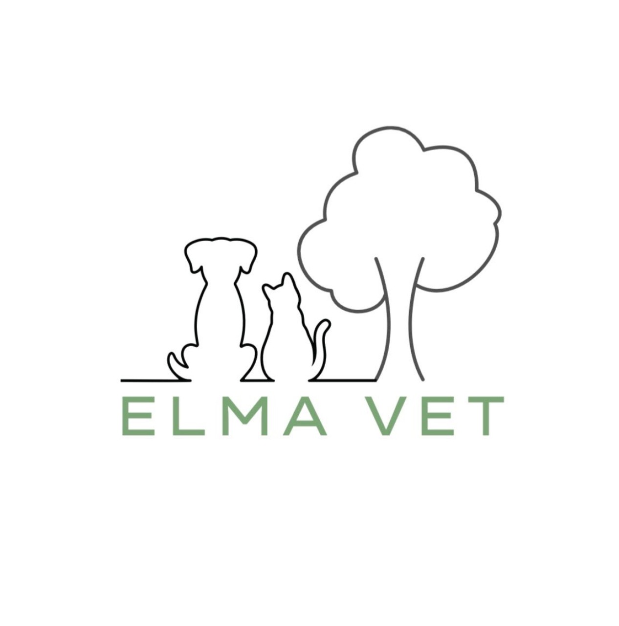 Elmavet