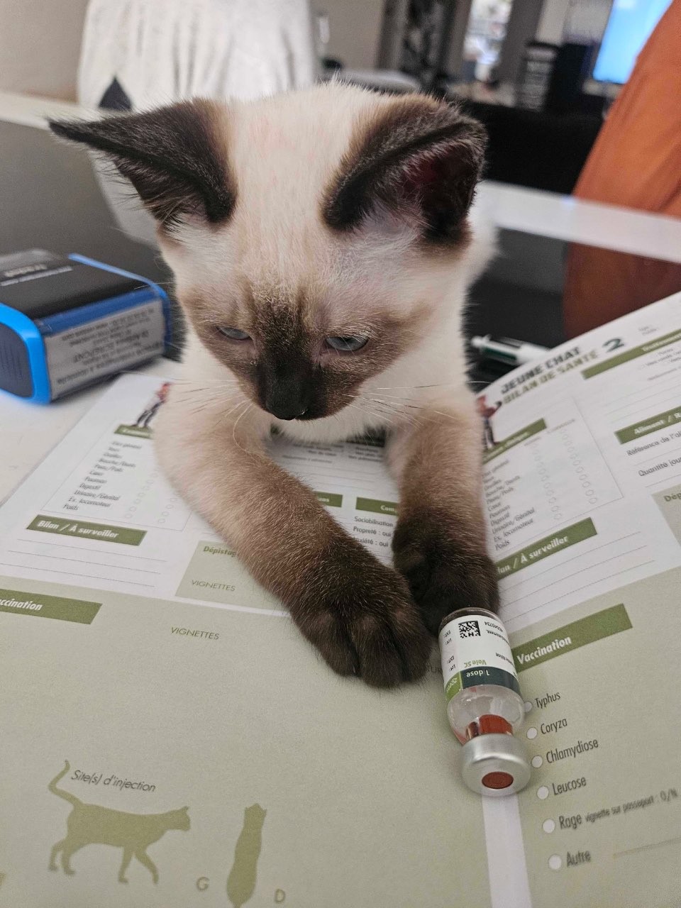 Sas Faget Viennet Veterinaires