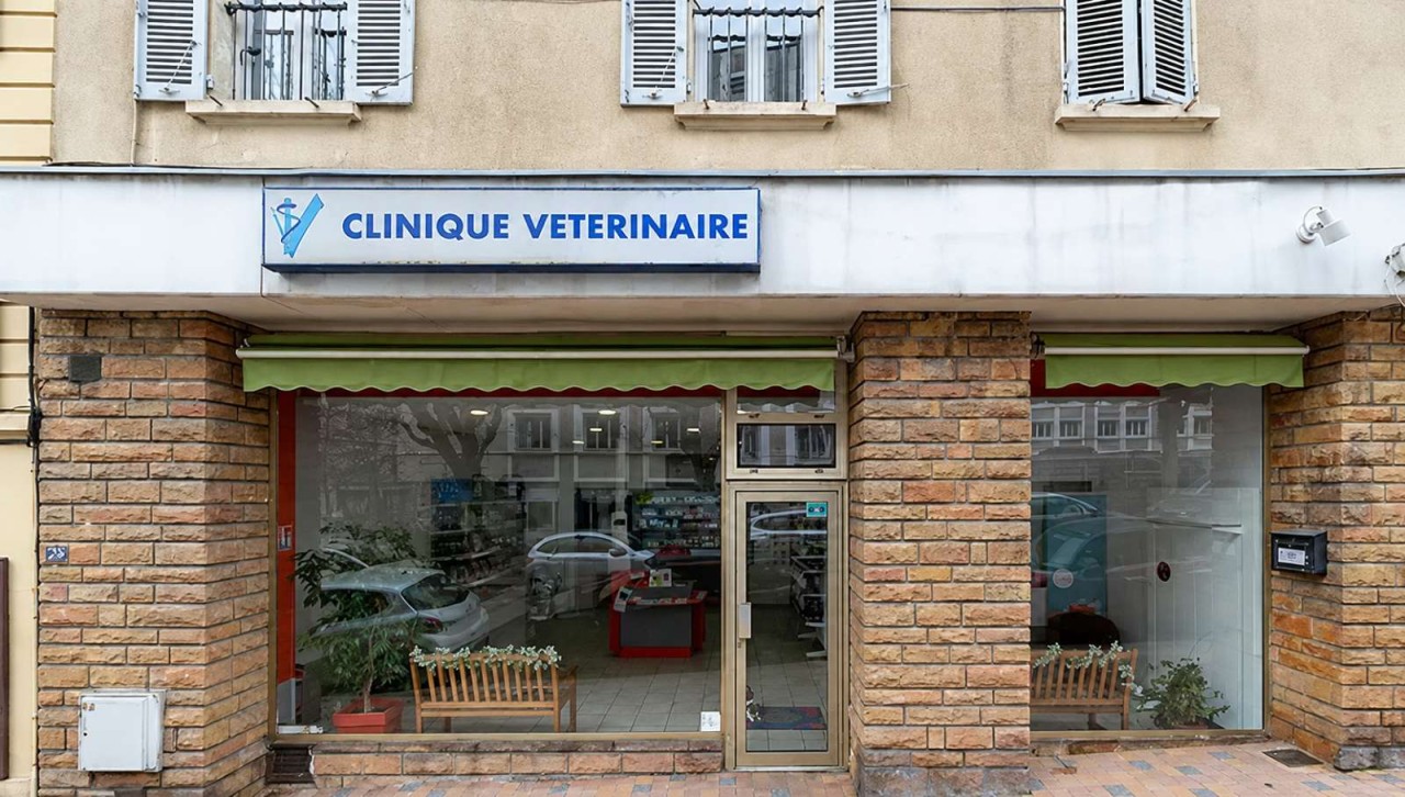 IVC EVIDENSIA France
