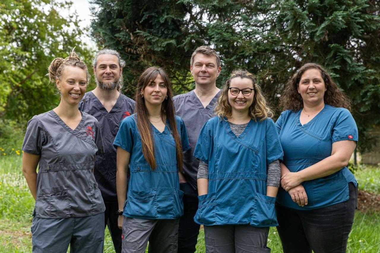 Clinique Vétérinaire Gar'o Chat