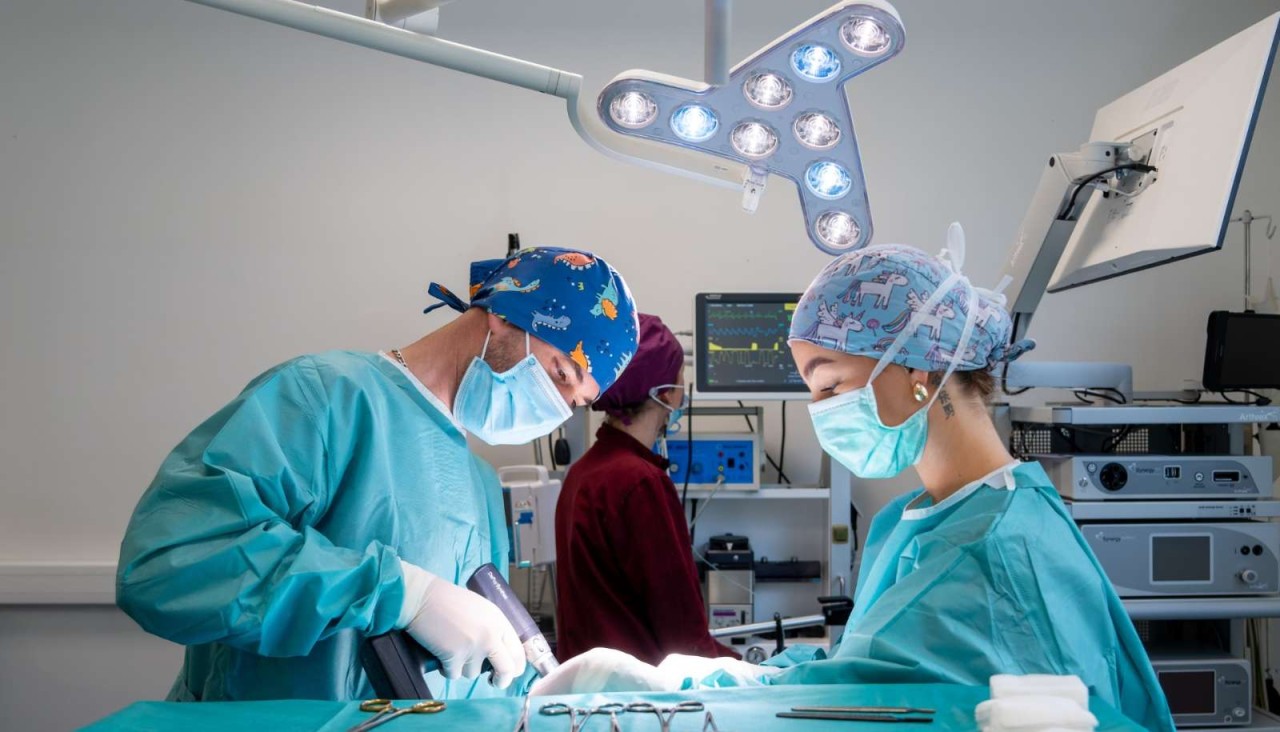 IVC EVIDENSIA France