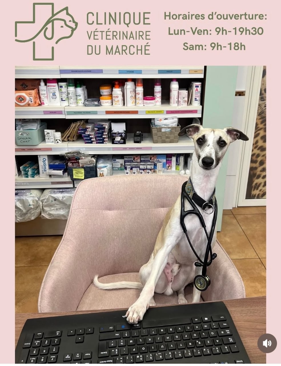 Clinique vétérinaire du Marché
