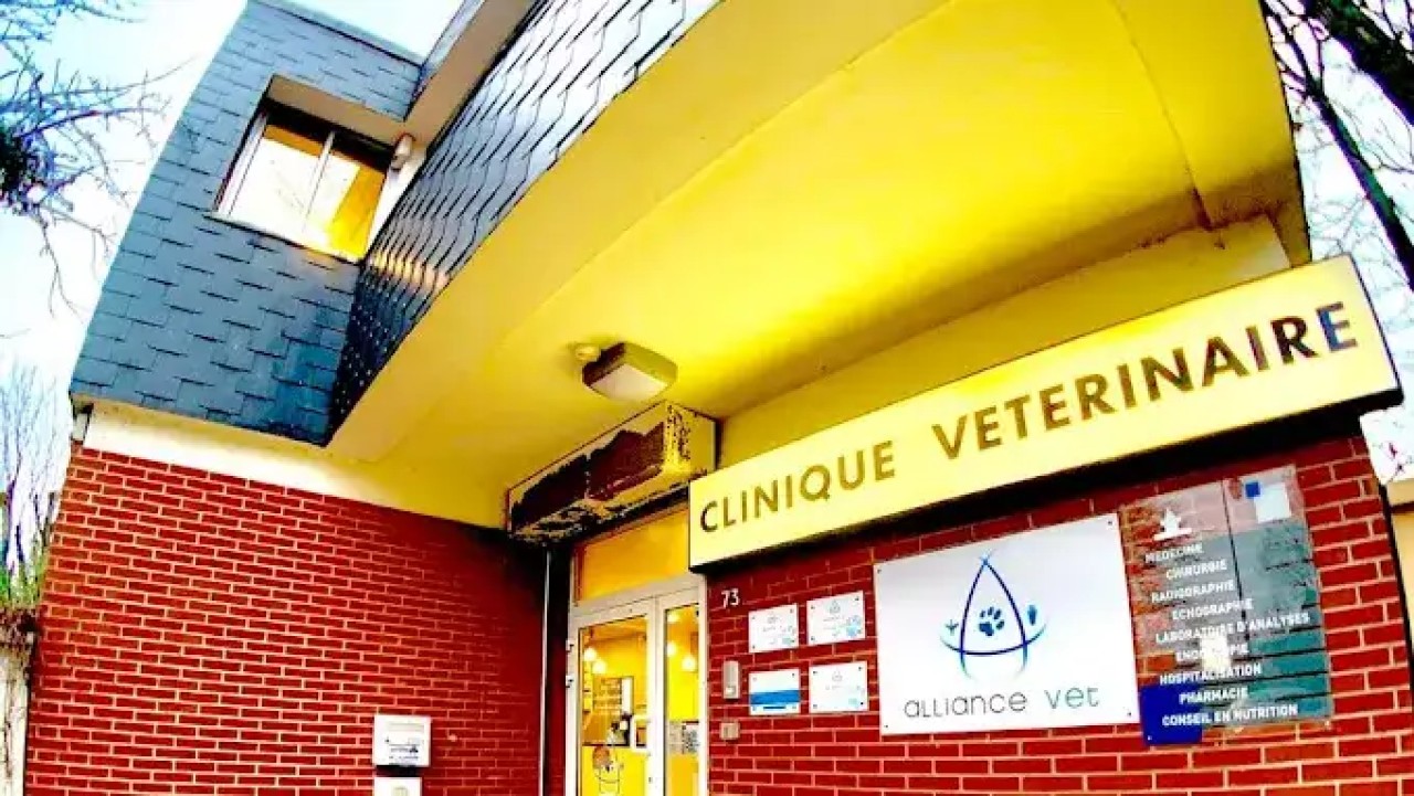 IVC EVIDENSIA France