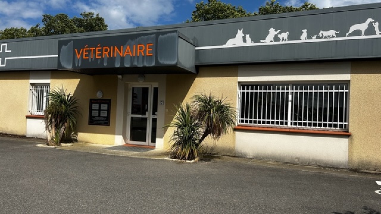 Clinique Veterinaire Du Mandarin