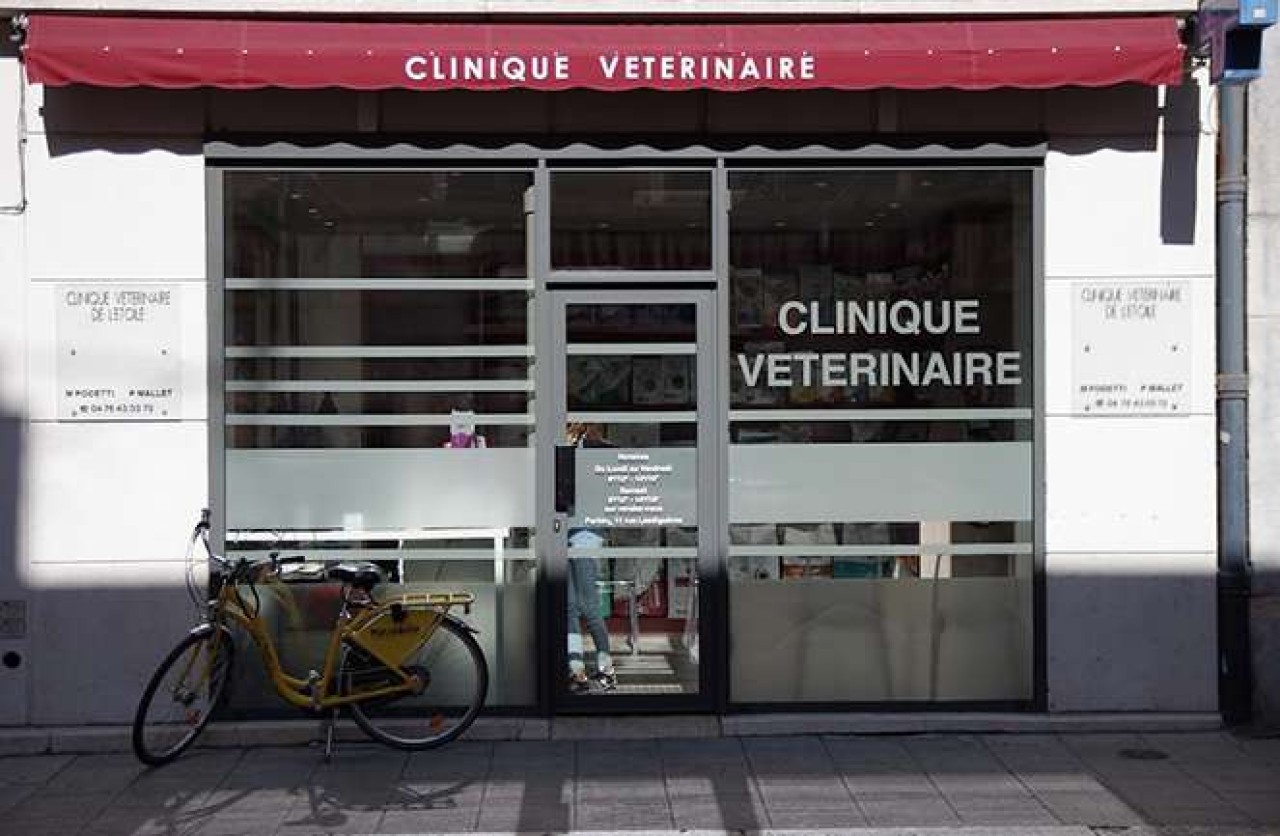 Réseau Univet