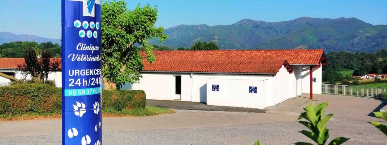 Fovéa