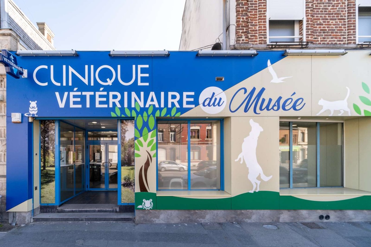 IVC EVIDENSIA France