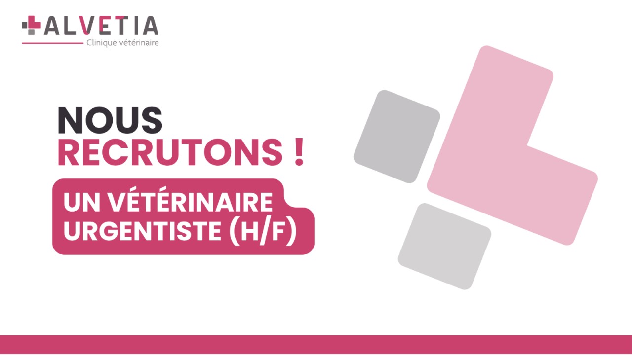 Clinique Vétérinaire Alvetia