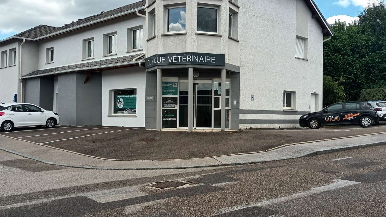 Clinique vétérinaire du Saint Mont _ABONOU TEBY FABRICE