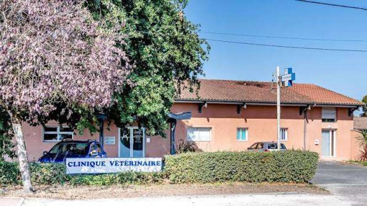 IVC EVIDENSIA France