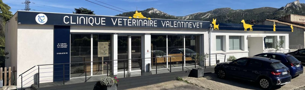 Clinique Vétérinaire Valentinevet