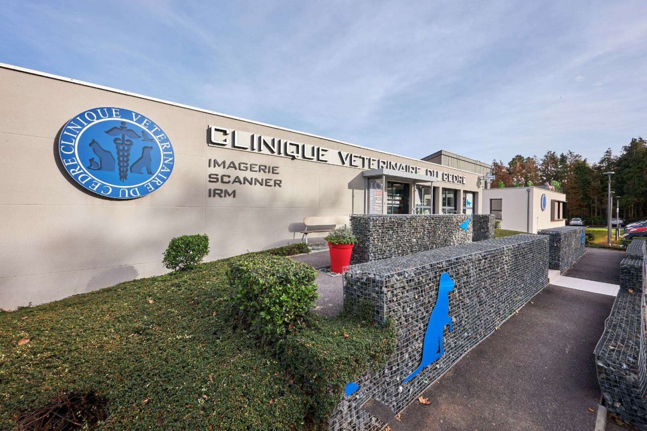 IVC EVIDENSIA France