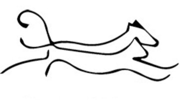  Reeducat&Dog