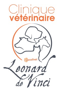 Clinique Léonard De Vinci