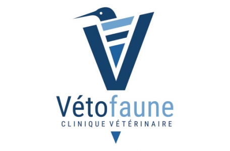 Veto Faune Clinique Vétérinaire De Sigean
